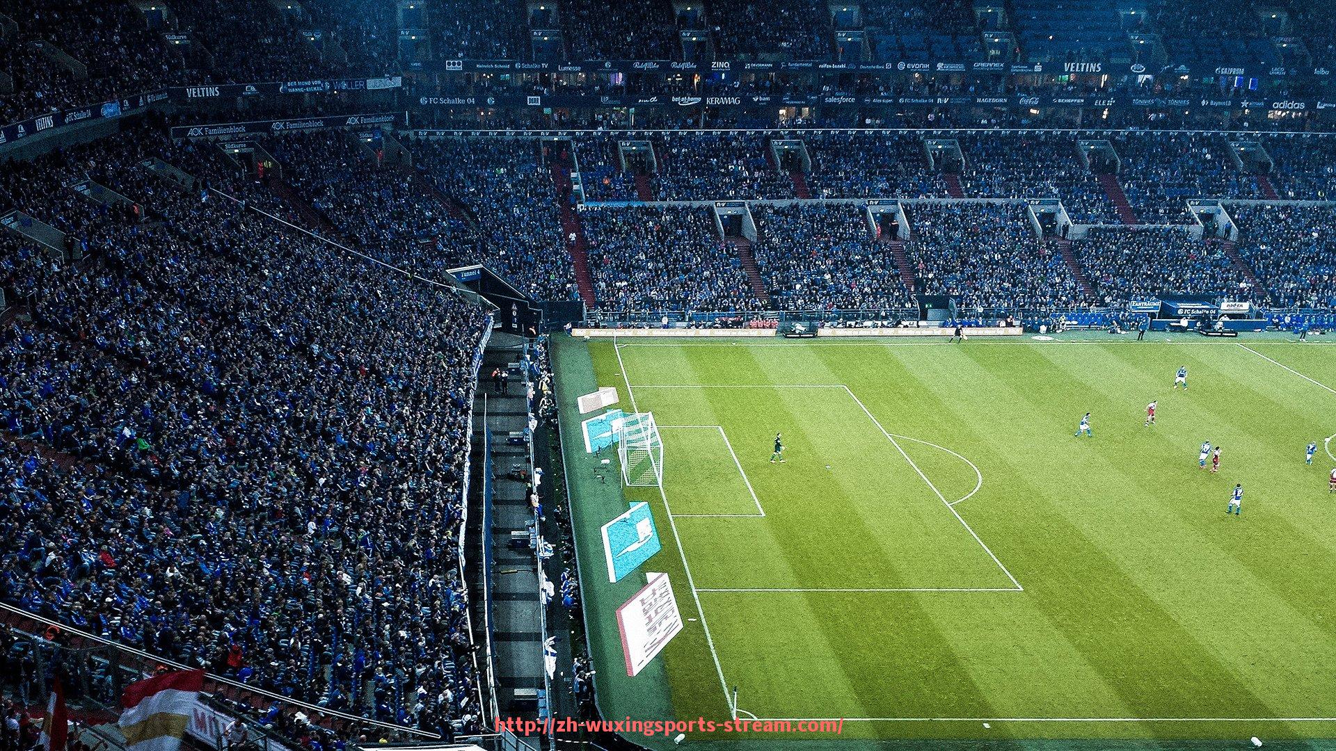 五星体育直播-法甲里昂冠军之路的艰辛与成就