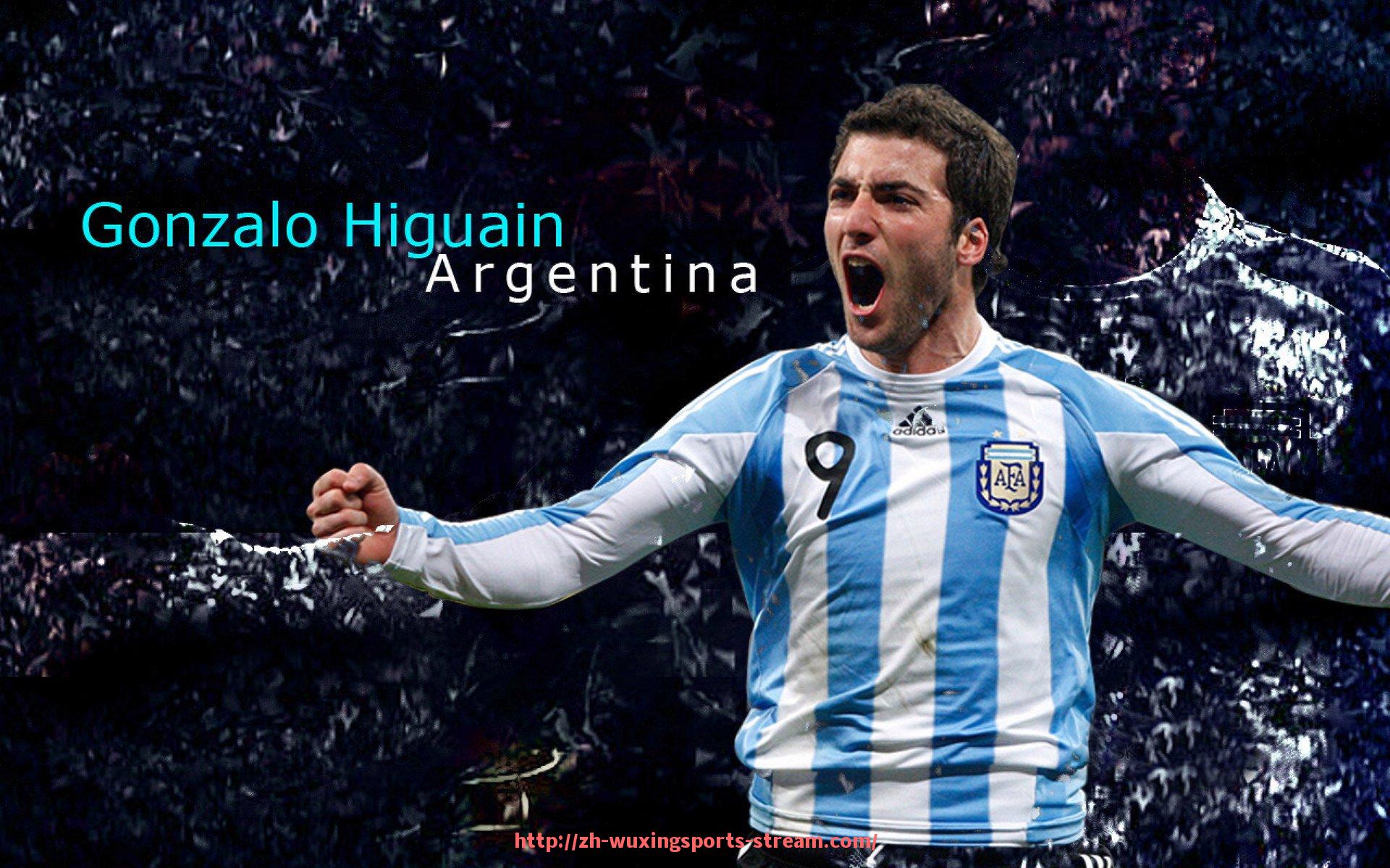 五星体育直播-世俱杯赞助资金使用报告编制与风险分析